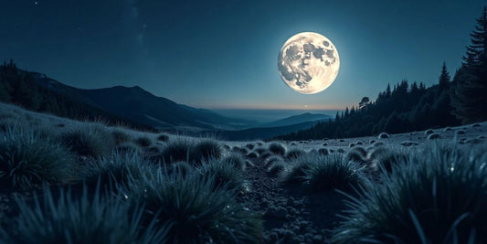 Voller Mond über einer ruhigen Landschaft bei Nacht.