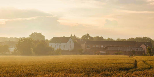 a field of grass with buildings in the background