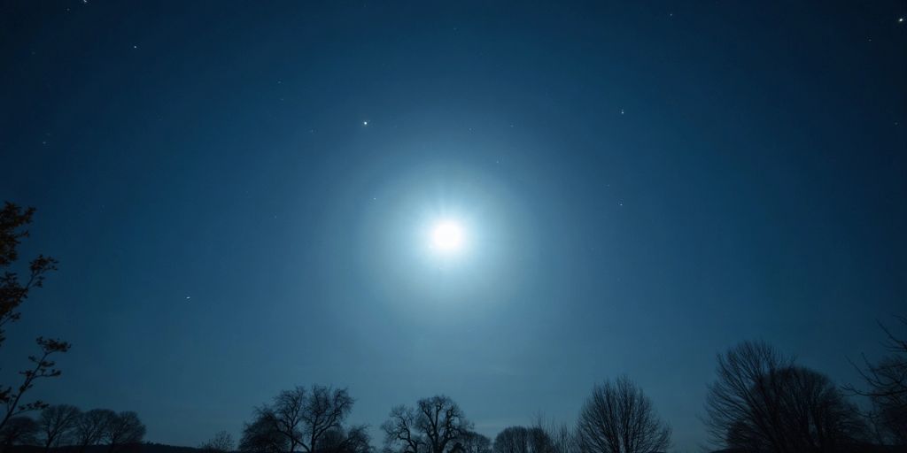 Voller Mond über einem ruhigen Landschaftsbild mit Bäumen.