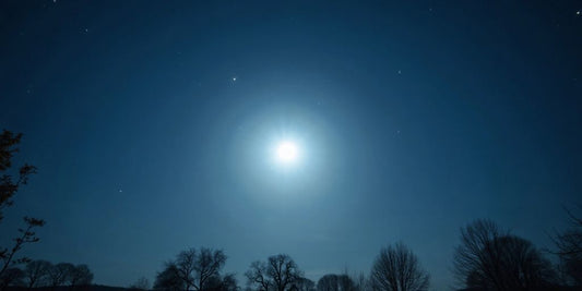 Voller Mond über einem ruhigen Landschaftsbild mit Bäumen.