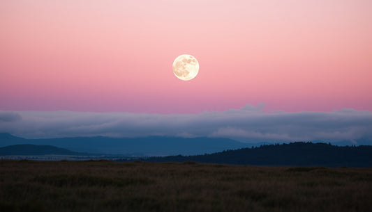 Full moon in a pink sky, evoking emotional depth.
