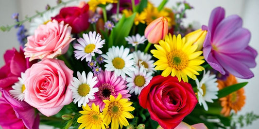 Bunte Blumen in voller Blüte, symbolisch für Lenormand.