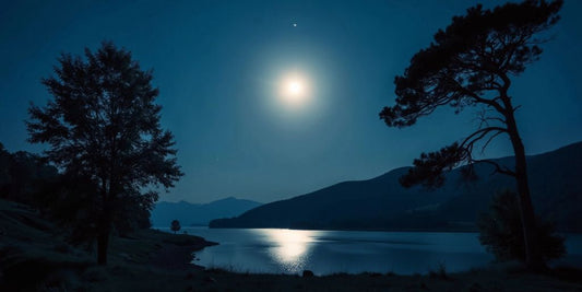 Voller Mond über ruhigem Wasser und silhouettierten Bäumen.