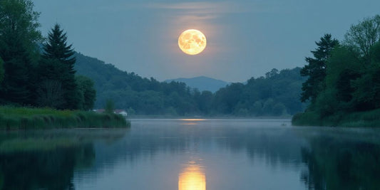 Voller Mond über ruhigem See mit grünem Ufer.